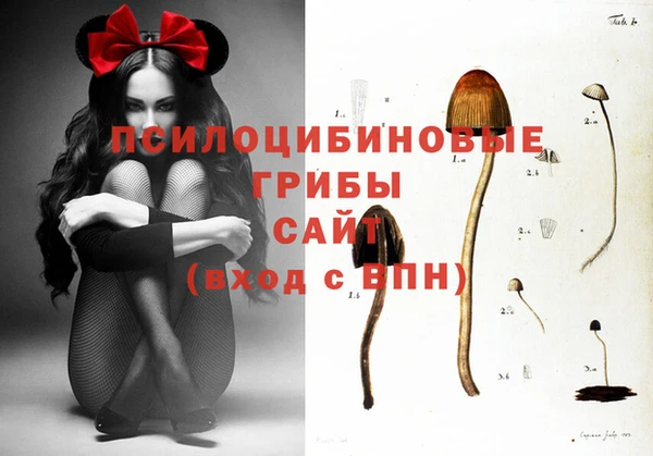 мяу мяу мука Нягань