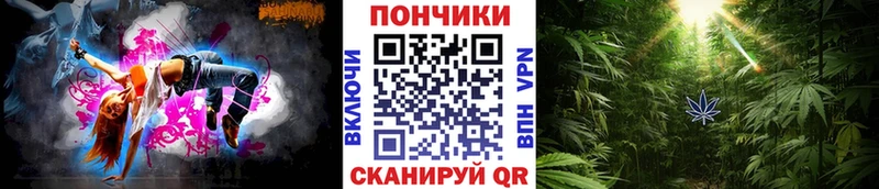 продажа наркотиков  Яранск  Шишки марихуана тримм 